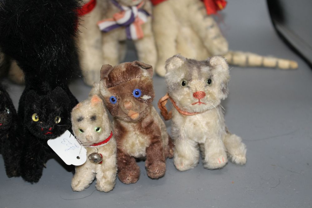 A collection of assorted soft toy cats